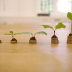 g57f615adecd4ecd5f19d53cfeec80093811b2dd60b7bfce7f70b4dbb5bbad86eefc3a47860cafe153c584298841cbf78c7359e4de196d4f6428f61405a842695_640